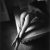 Kurtköy Escort Bayan Simge - Image 14 Kurtköy Escort Bayan Simge - Image 14