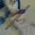 Pendik Kurtköy Escort Bayan Gül - Image 9 Pendik Kurtköy Escort Bayan Gül - Image 9