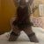 Pendik Çarşı Escort Bayan Ezgi - Image 5 Pendik Çarşı Escort Bayan Ezgi - Image 5