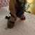 Pendik Çarşı Escort Bayan Ezgi - Image 2 Pendik Çarşı Escort Bayan Ezgi - Image 2