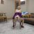 Kartal Merkez Escort Bayan Derya - Image 2 Kartal Merkez Escort Bayan Derya - Image 2
