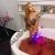 Pendik Kartal Escort Bayan Olya ve Lila - Image 4 Pendik Kartal Escort Bayan Olya ve Lila - Image 4