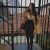 Maltepe Pendik Tuzla Escort Bayan Victora ve Anna - Image 3 Maltepe Pendik Tuzla Escort Bayan Victora ve Anna - Image 3