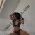 Anadolu Yakası Escort Bayan Zara - Image 3 Anadolu Yakası Escort Bayan Zara - Image 3