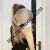 Kartal Pendik Tuzla Escort Bayan Şebnem - Image 3 Kartal Pendik Tuzla Escort Bayan Şebnem - Image 3